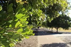 2025-07-21 Cpt. Cook Brdg. Walk - IMG_3815_compressed_q80.webp